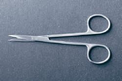 Scissors and Shears
